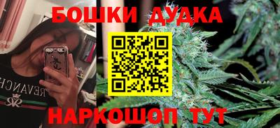 сатива Балаково