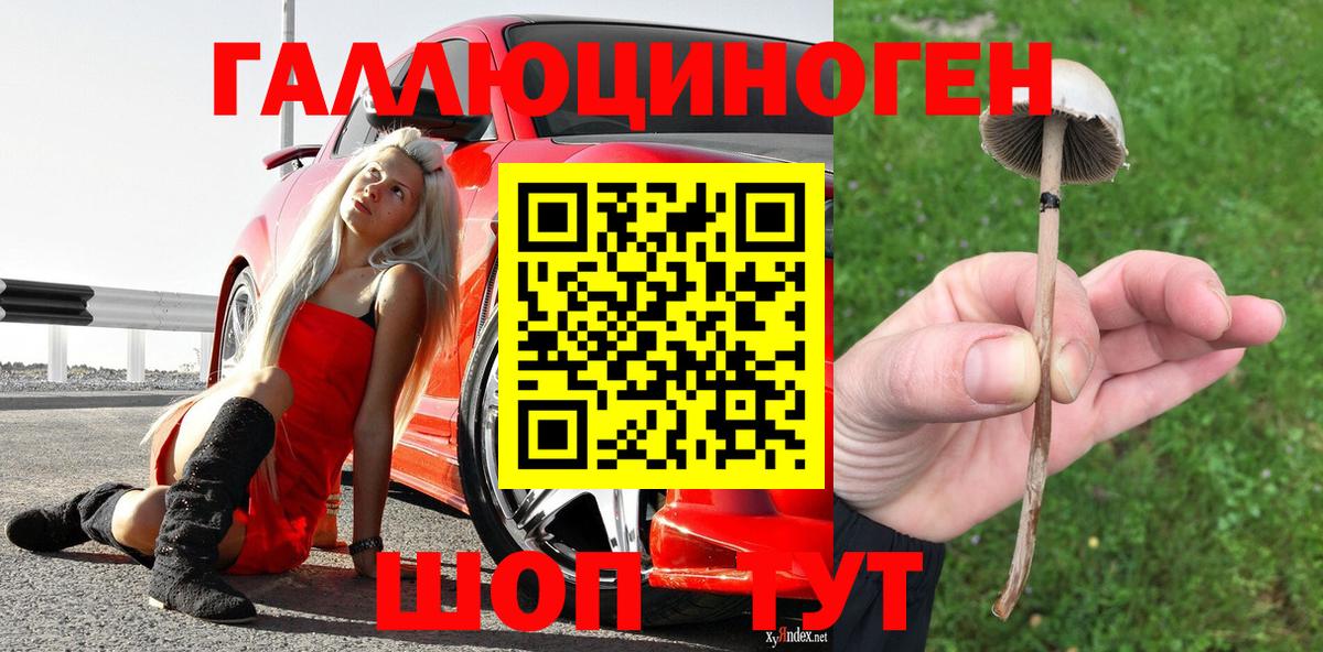 Галлюциногенные грибы мицелий  Вход с VPN  Апшеронск 