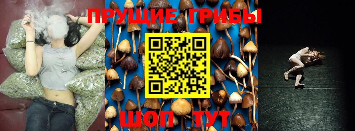 Галлюциногенные грибы мицелий Апшеронск